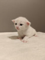 /album/12-pentue/img-20260104-wa0030-jpg/